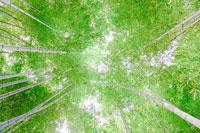 限りある資源を大切に、環境活動に取り組みます